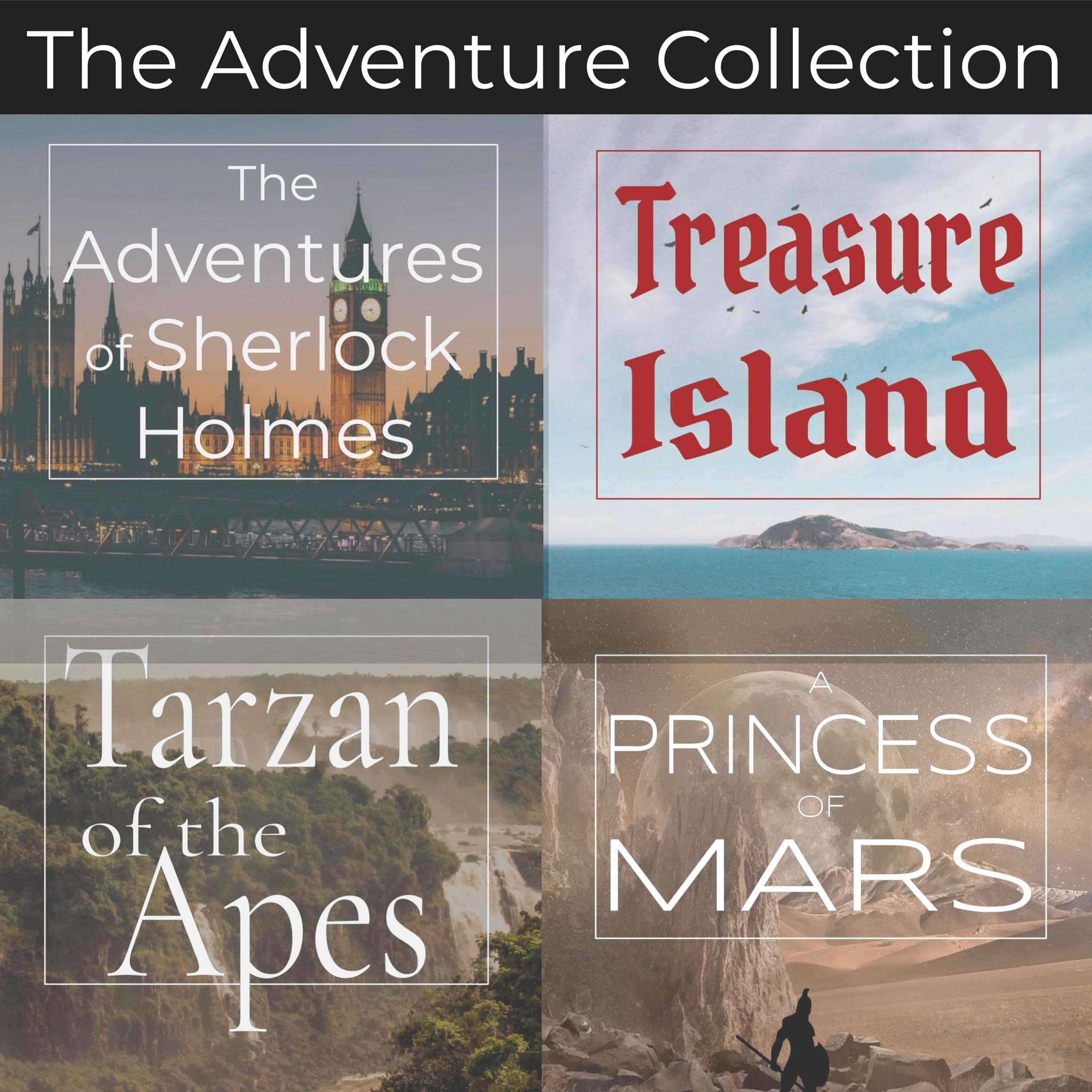 The Adventure Collection – 4 Classic Novels: Unabridged Audiobooks of Treasure Island, A Princess of Mars, Tarzan of the Apes, and The Adventures of Sherlock Holmes